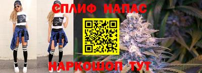тгк Тверь