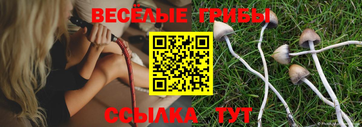 Галлюциногенные грибы Psilocybe  Вход с VPN  Нягань 