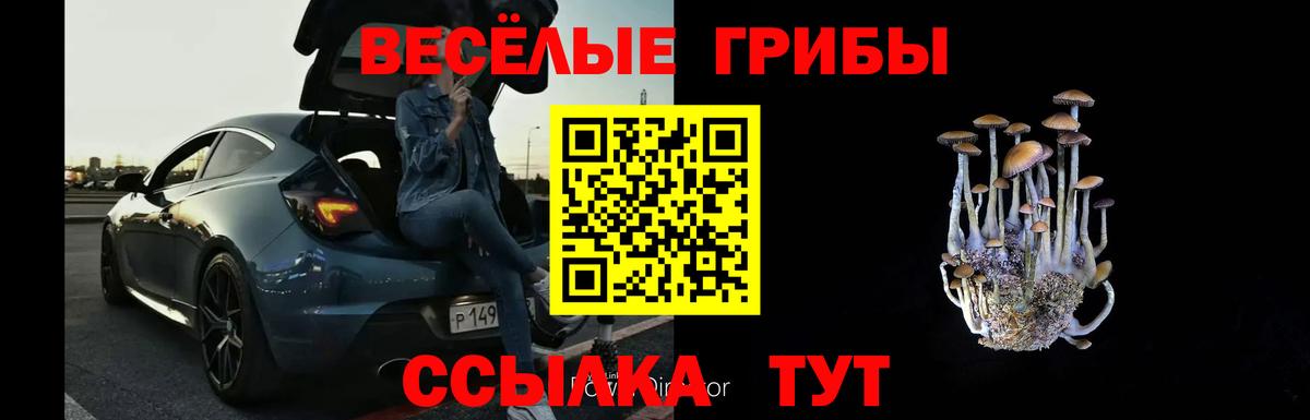 Галлюциногенные грибы прущие грибы Нягань